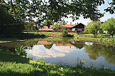 Weiher hinterm Haus